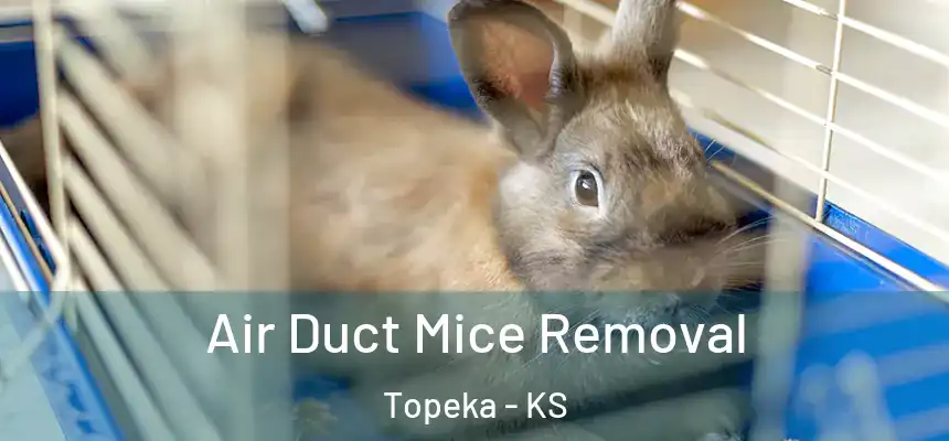 Air Duct Mice Removal Topeka - KS