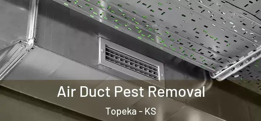 Air Duct Pest Removal Topeka - KS