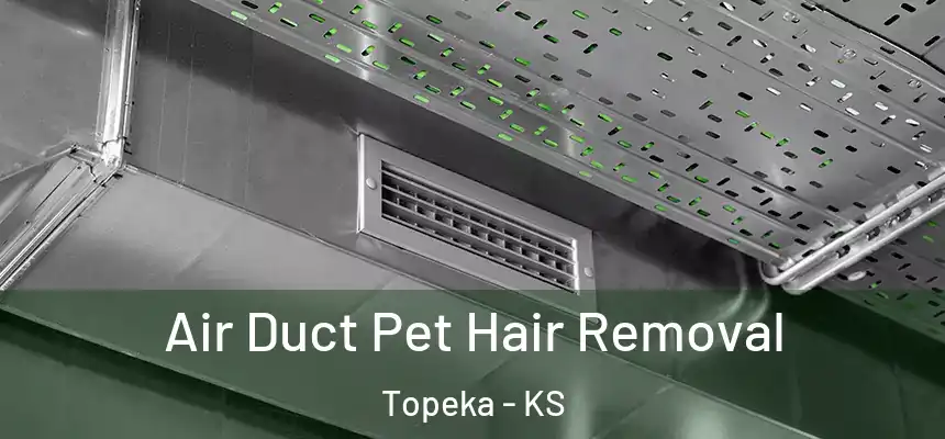 Air Duct Pet Hair Removal Topeka - KS