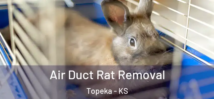 Air Duct Rat Removal Topeka - KS