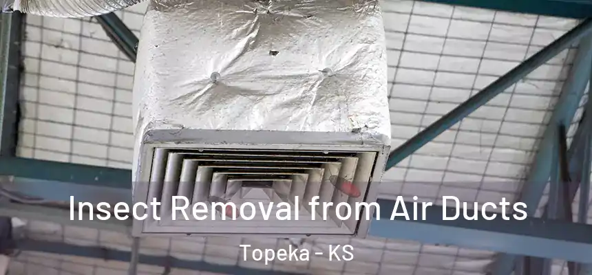 Insect Removal from Air Ducts Topeka - KS