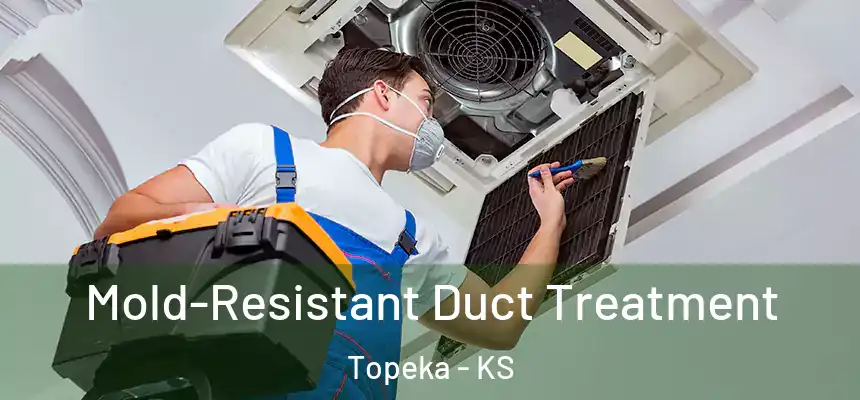 Mold-Resistant Duct Treatment Topeka - KS