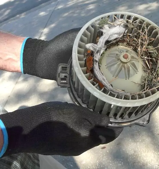 About Air Duct Rat Removal in Topeka, KS